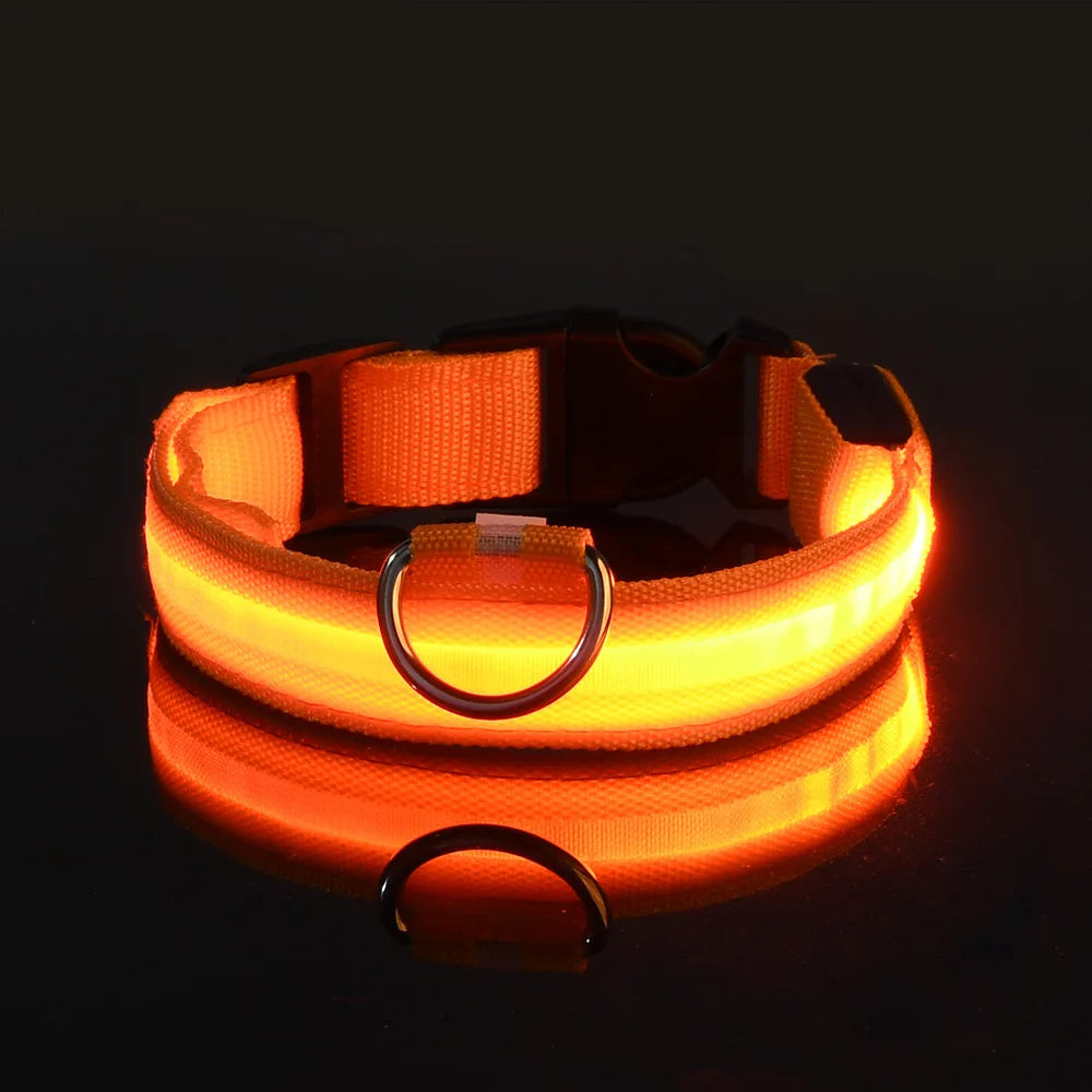 Coleira de LED para Cachorros - LumiPet