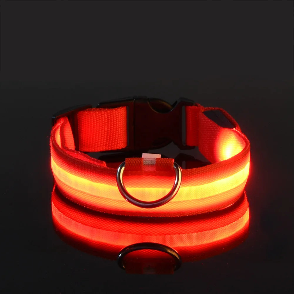Coleira de LED para Cachorros - LumiPet