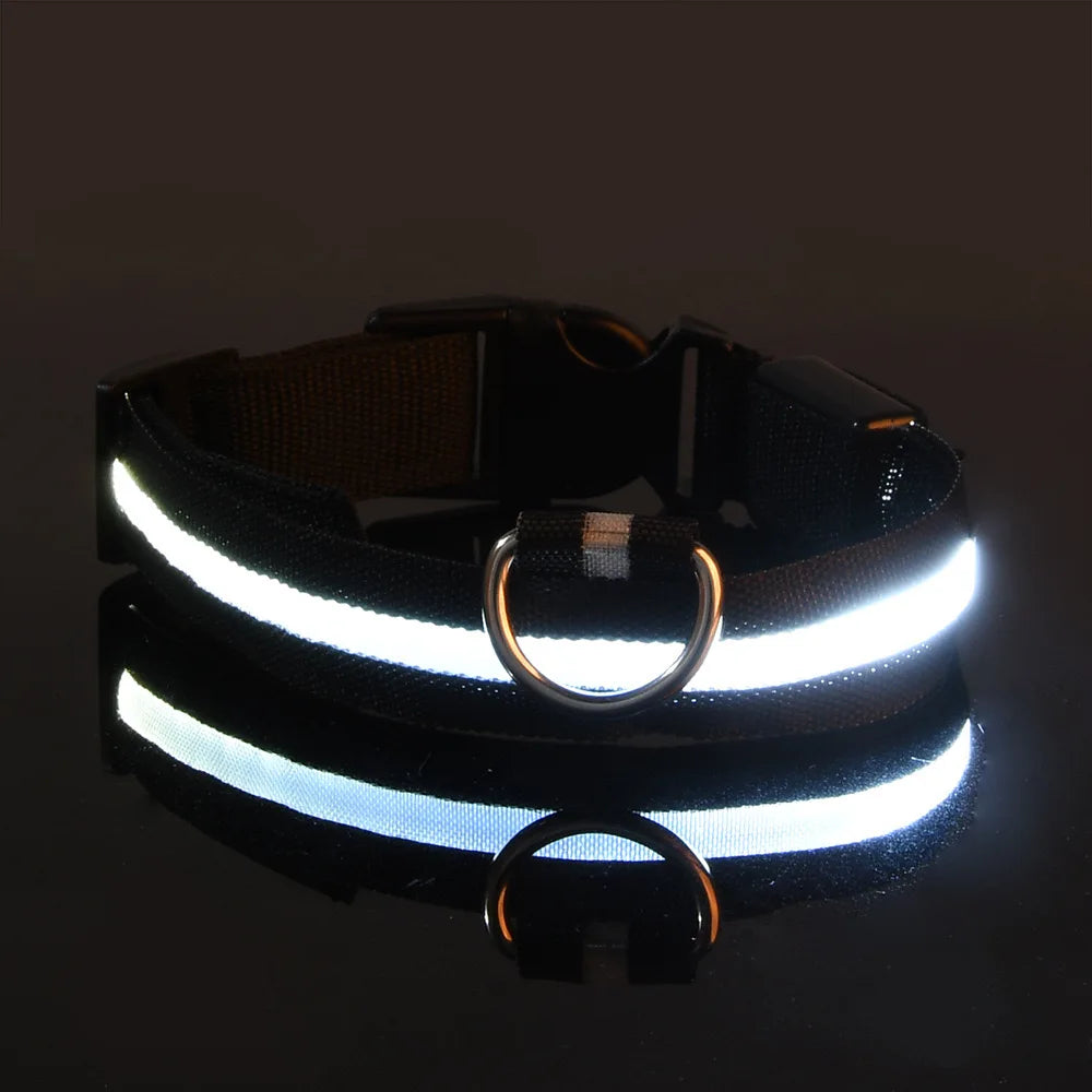 Coleira de LED para Cachorros - LumiPet