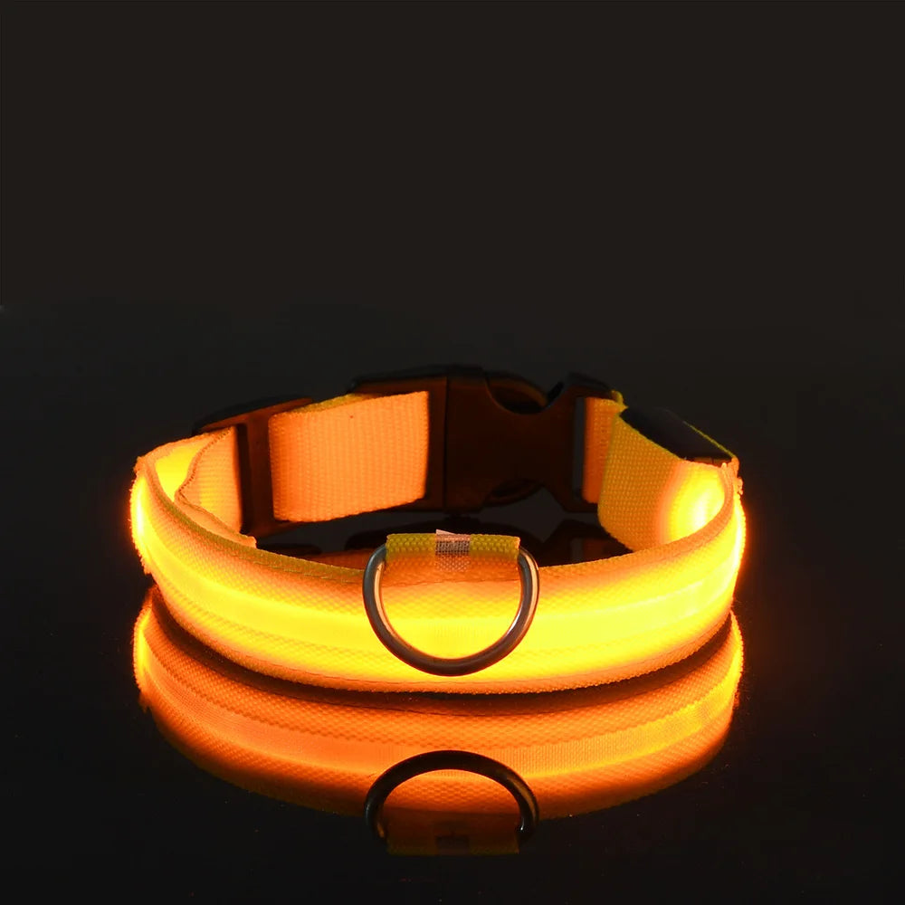 Coleira de LED para Cachorros - LumiPet