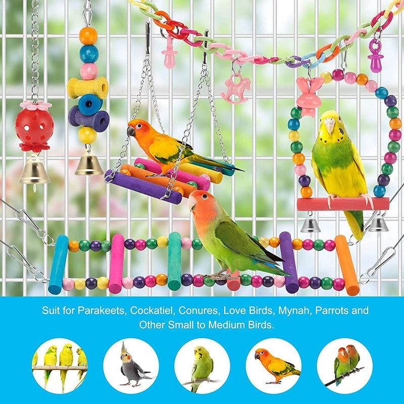 Kit Brinquedos coloridos para Passáros